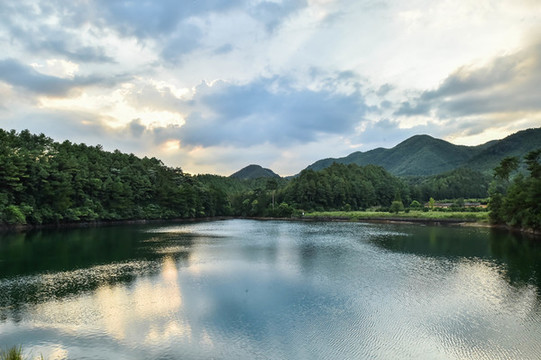 山湖樹林