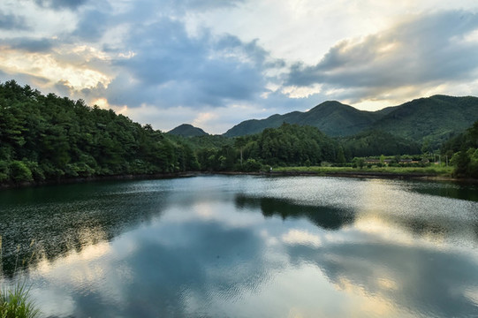 山湖樹林