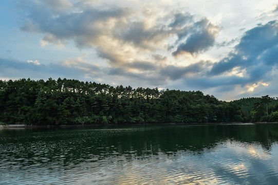 山湖樹林
