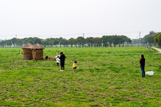 上海嘉北郊野公園春天