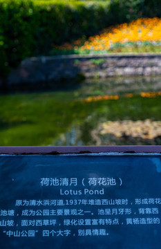 上海中山公園春天
