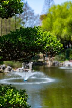 上海中山公園