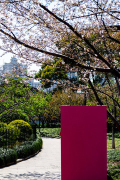 春天的上海魯迅公園