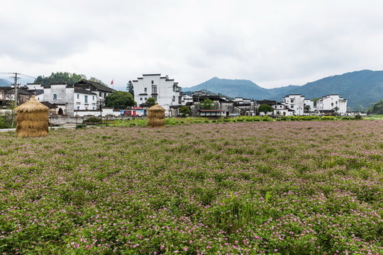 婺源沱川鄉(xiāng)