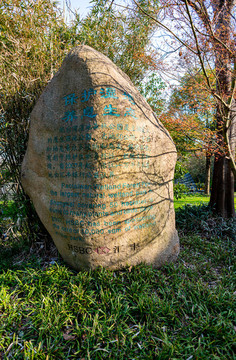 上海寶山吳淞炮臺(tái)灣國(guó)家濕地公園