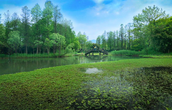 杭州西溪濕地公園