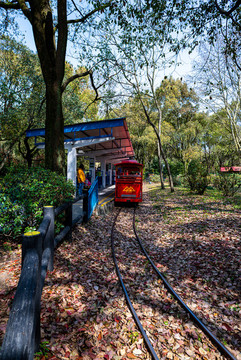 上海共青國家森林公園小火車