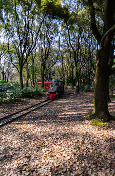 上海共青國家森林公園小火車
