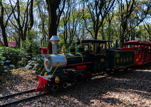 上海共青國(guó)家森林公園小火車