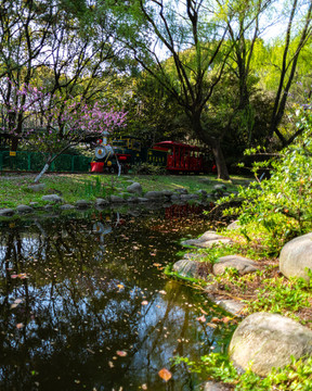 上海共青國(guó)家森林公園森林小火車(chē)