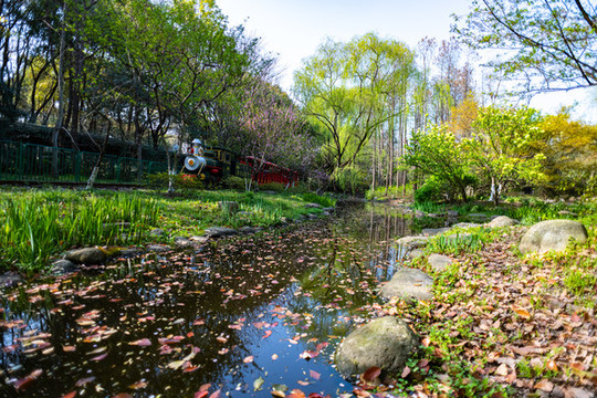 上海共青國家森林公園小火車
