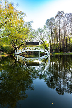 上海共青國(guó)家森林公園景色景觀