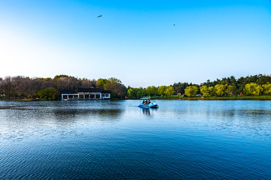 上海共青國(guó)家森林公園景色景觀