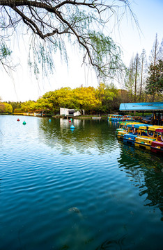 上海共青森林公園春天