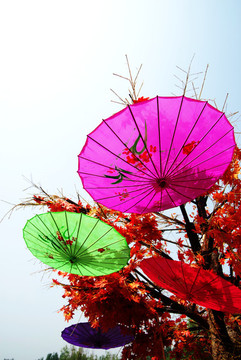 北京藍(lán)調(diào)莊園
