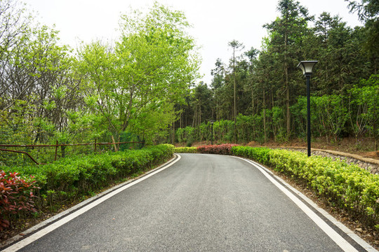 景區(qū)道路