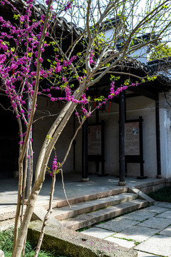 江蘇無(wú)錫惠山古鎮(zhèn)
