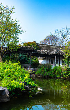 江蘇無錫惠山古鎮(zhèn)春天