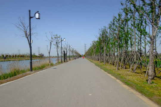 道路兩邊的風景