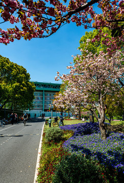 上海世博公園后灘濕地公園