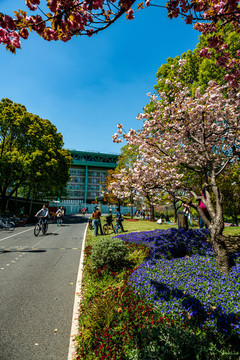 上海世博公園后灘濕地公園