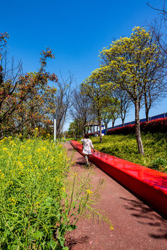 上海浦東后灘濕地公園