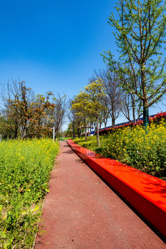 上海浦東后灘濕地公園