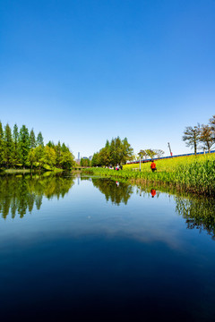 上海浦東后灘濕地公園春色