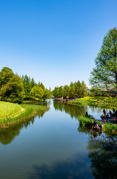 上海浦東后灘濕地公園春色