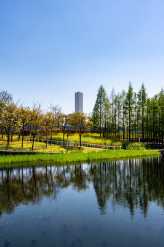 上海浦東后灘公園春天
