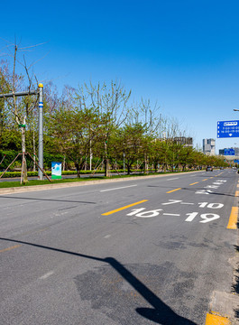 上海世博盧浦大橋
