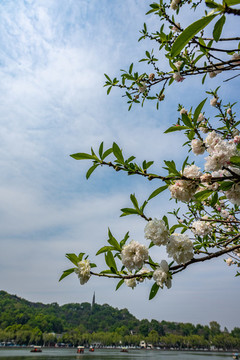 浙江杭州西湖風(fēng)景區(qū)