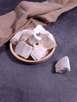 海螵蛸