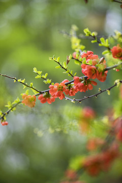 春暖花開(kāi)