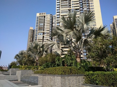 賣場(chǎng)設(shè)計(jì)