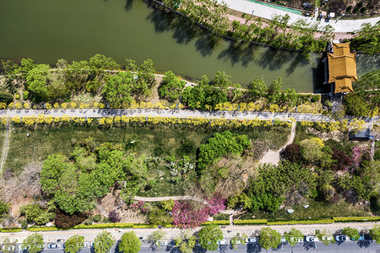 天津南翠屏公園甬路俯拍