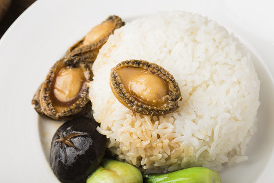 鮑汁鮑魚飯
