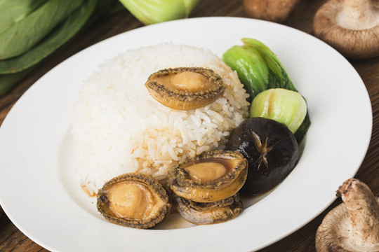 鮑魚飯