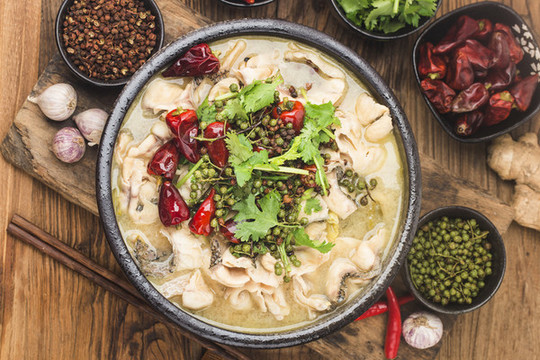 黑魚(yú)片