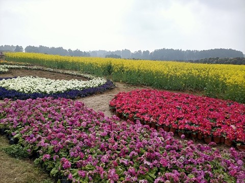 花園