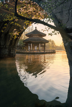 杭州西湖茅家埠春季櫻花風(fēng)景