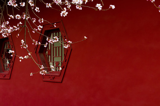 桃花