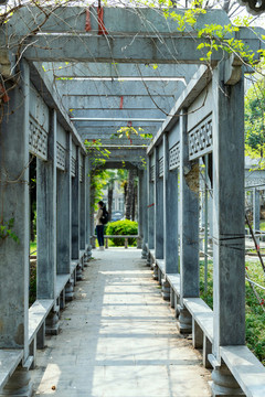 西安交通大學(xué)