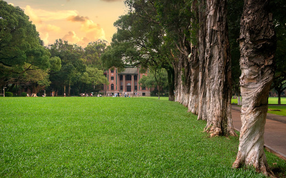 中山大學(xué)黃昏
