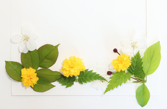 鮮花畫框