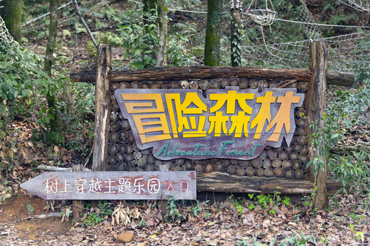 冒險(xiǎn)森林