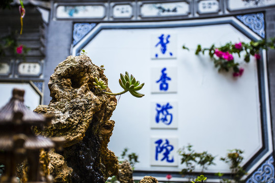 客棧環(huán)境