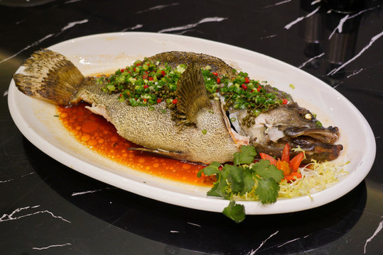 石斑魚龍膽魚海鱸魚魚肉海鮮美食