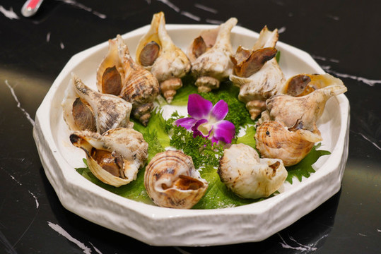 海螺海蠣貝殼海鮮美食
