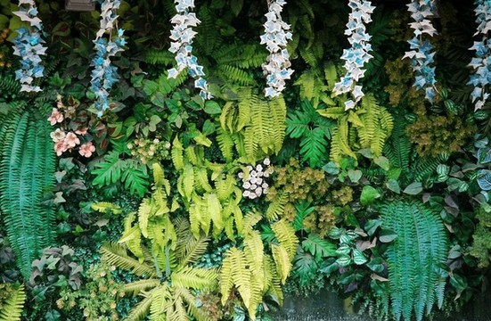綠植墻